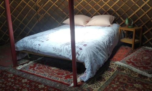Deluxe Room photo