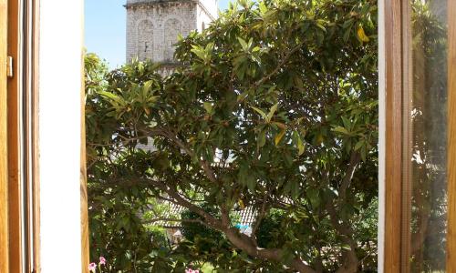 LE DIMORE ARCANGELO Maria