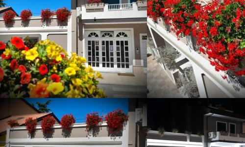 Albergo B&B Ristorante Grace