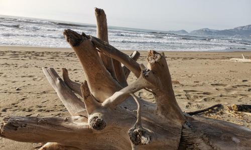 Giannella Tuscany Holidays