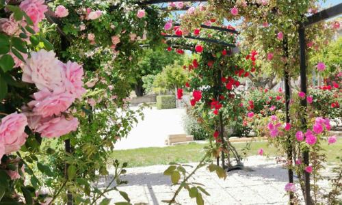 Gîte en Provence Lavande