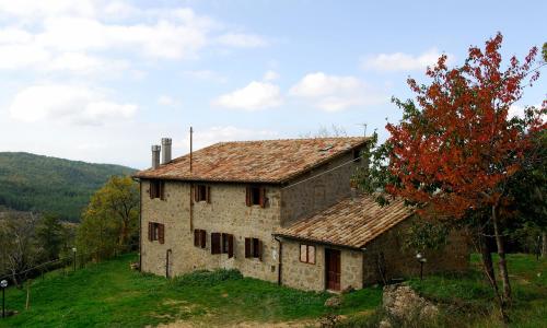 A stay surrounded by greenery - Agriturismo La Piaggia -