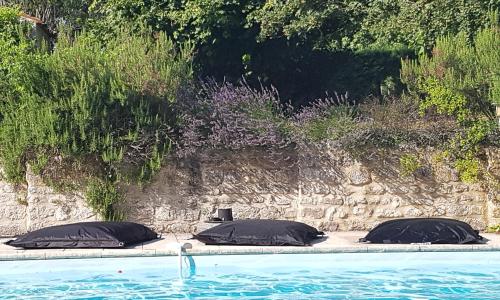 La Loge du Grand Cèdre, chambre d'hôtes SoCosy