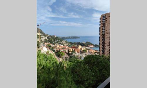 Vue mer Monaco