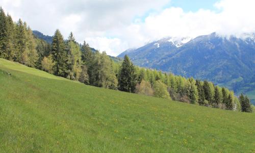 La Mansarda di Casa Vacanze La Vite