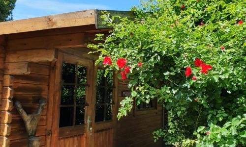 La Cabane du Pesquier en Provence