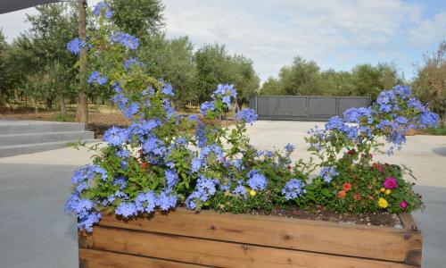 Il Podere di San Giacomo