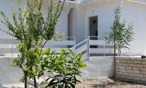 Villa Vittoria Garden