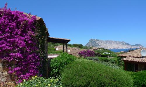 Casa Molara