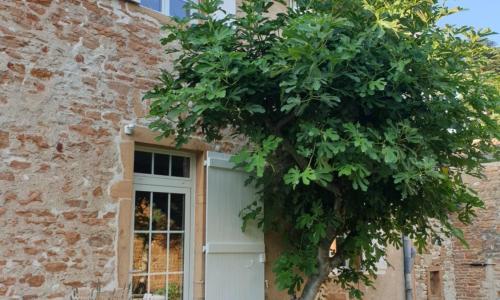 LE GITE DU CARGE D'ARLAY