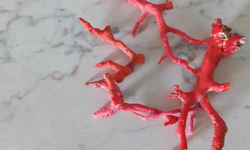 IL CORALLO di SANTA LUCIA