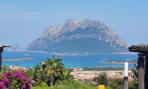 Claude&Kate's dream house