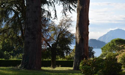 Landscapesilvia 1 Aria