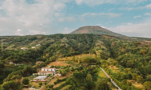Tenuta Le Fornacelle