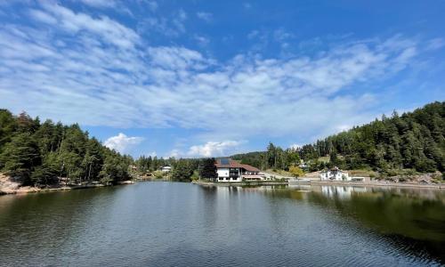 Hotel Am Wolfgrubenersee