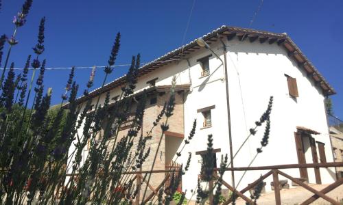 Agriturismo Le Castellare