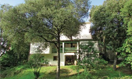 Nice Apartment In Sagone With Kitchen