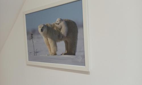 Deluxe Room photo