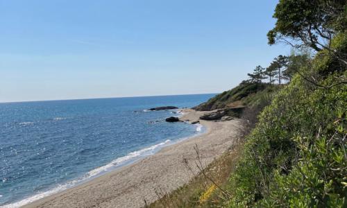Maison pieds dans l eau avec piscine et clim