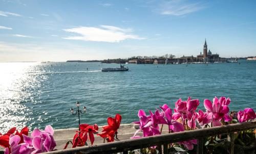 Fenix Turandot Suite