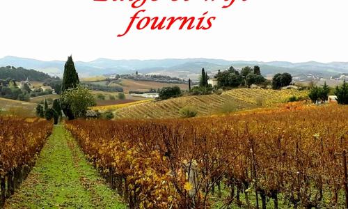 La Languedocienne appartement climatisé centre ville wifi inclus