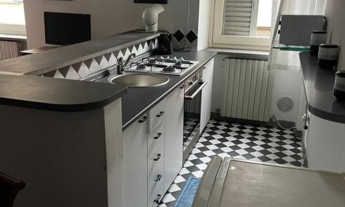 Gatto Bianco Bergamo 9