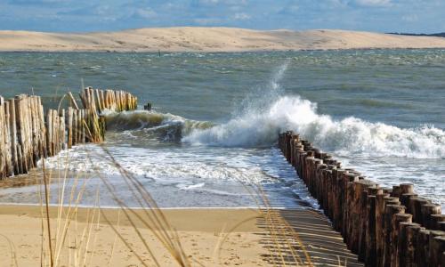 T1bis dans les dunes du Cap Ferret