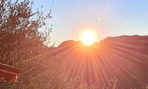 Chambres d'hôtes des Oliviers