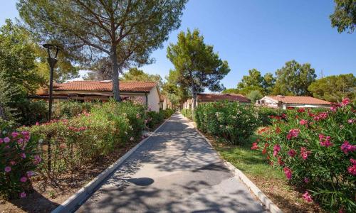 Holiday Homes in Piombino - Toskana 42359