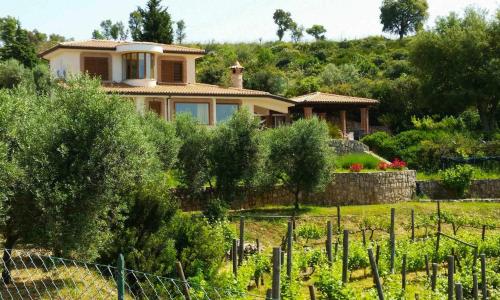 Uva e Stelle Maison in collina di Sperlonga