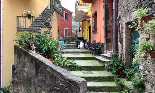 La casa di nonno Frey