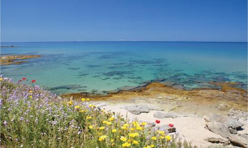 Stunning Apartment In Costa Rei -ca- With Kitchen
