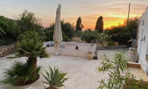 Kleines Refugium unter Palmen.