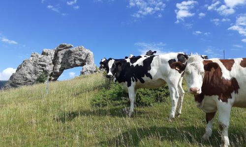 Maison de campagne à l'étage