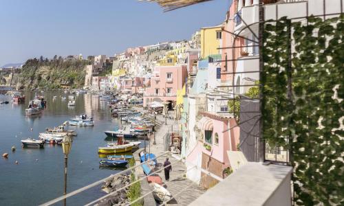 Calilla house by Procida Reserve