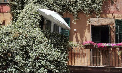 Apartments Campo de Fiori