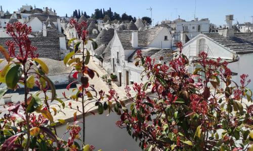 Noù la tua casa in Puglia