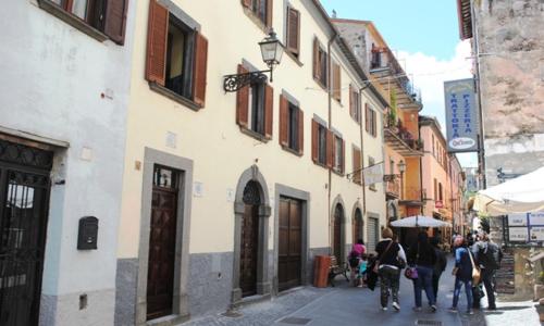 The garden of history