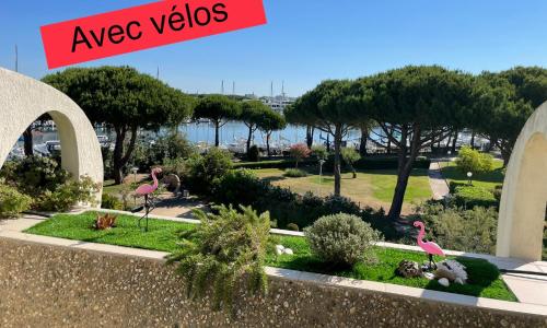 Studio vue port, belle terrasse, piscine