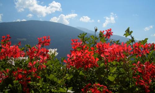 Ferienwohnung Tauberhof