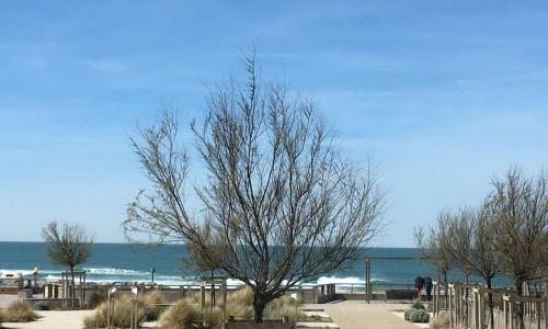 Appartement La Corniche Vue océan