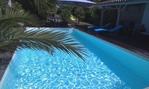 Les Arums de Fondeminjean