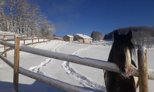 Chambres d'hôte des 3 Marches