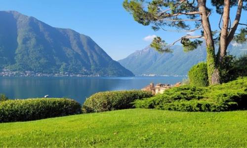 Degli Ulivi Apartment