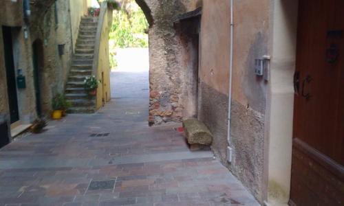 u' caruggiu de cisan