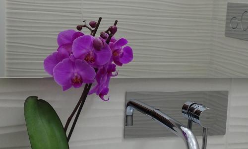 Sailor's House Porto Cervo