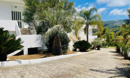 Il Giardino Di Capo Vaticano B&B and Apartments