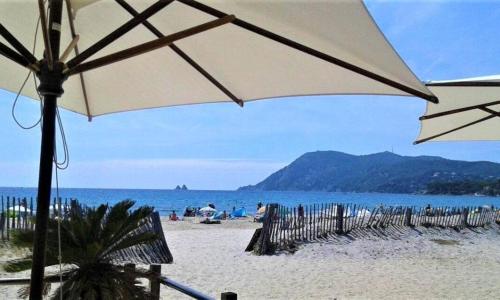 Studio le Monroe les pieds dans l'eau 10 m de la mer