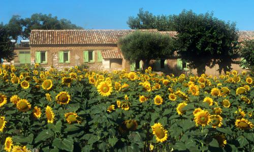 Il Canto di Kokopelli Country Houses