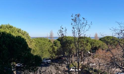 Charmant studio refait à neuf CARNON port 34